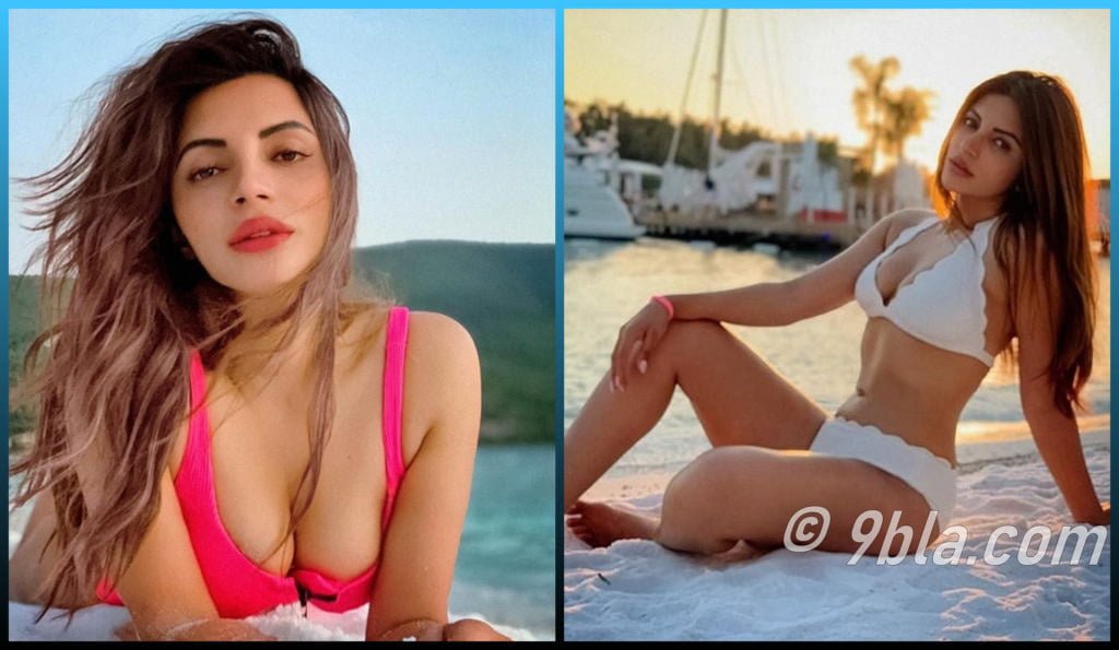 Shama Sikander hot photo