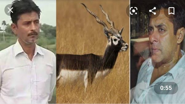 Salman killed the Black Buck