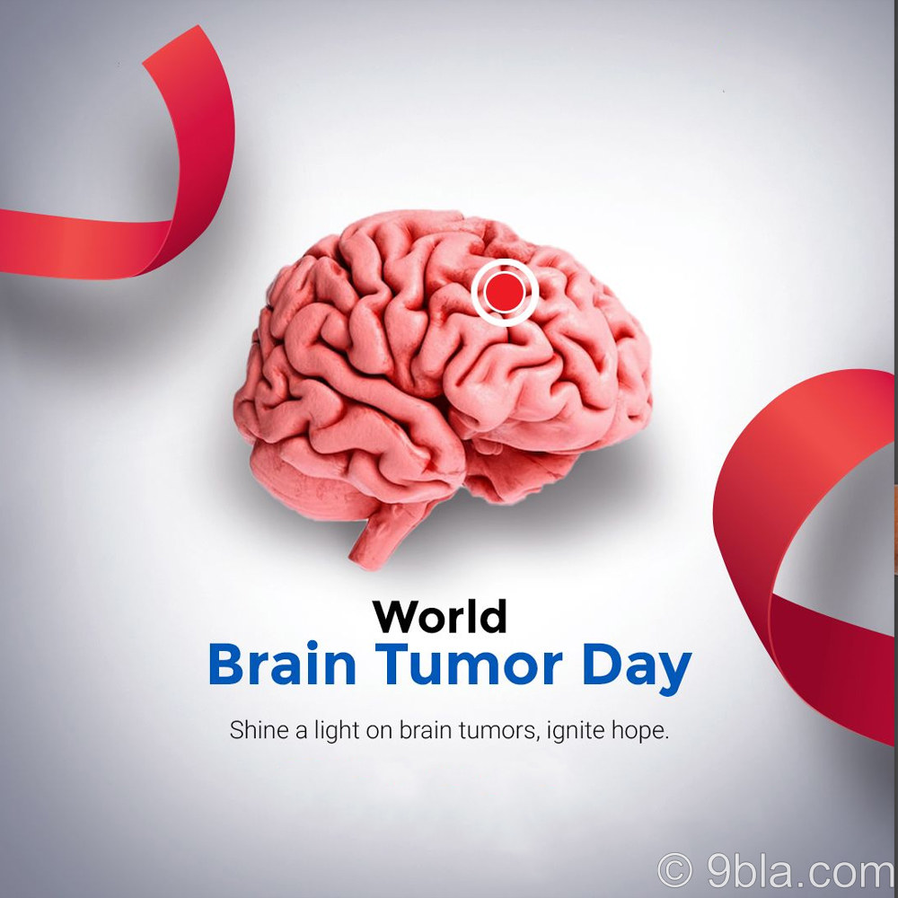 World Brain Tumor Day 14